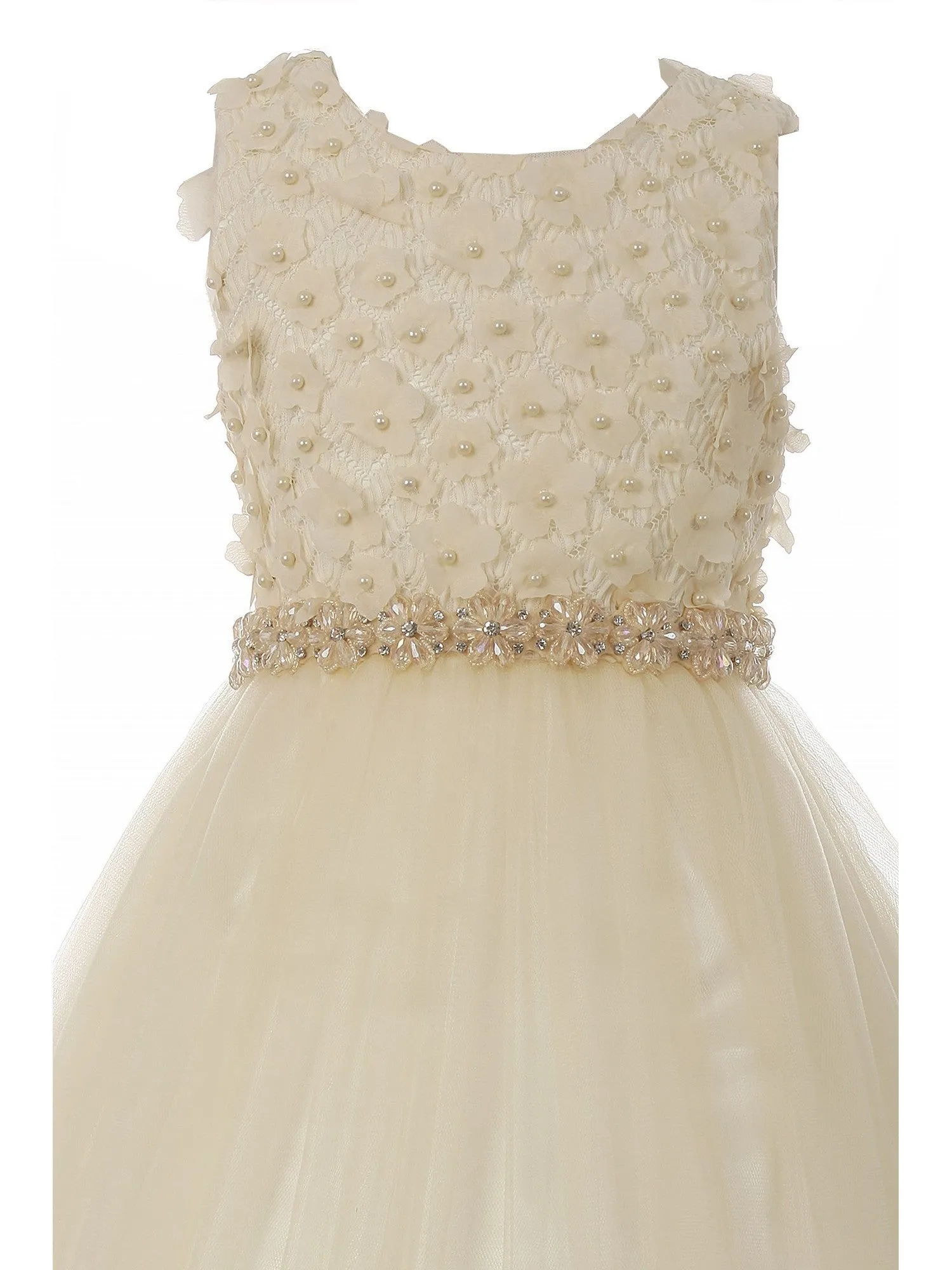 Little Girls Champagne Pearl 3D Floral Accents Tulle Flower Girl Dress 2-6